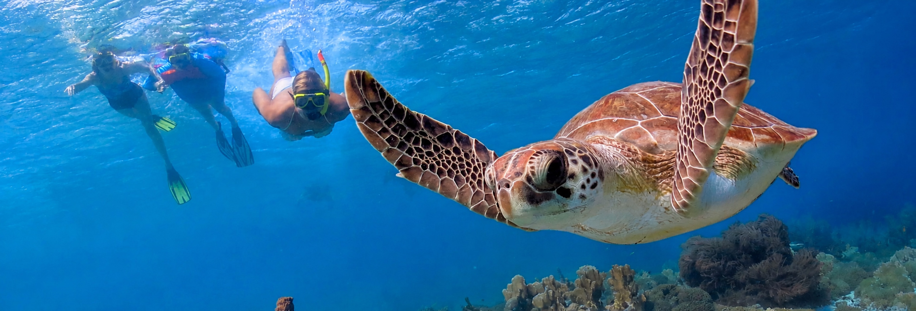 Secret Gilis & Turtle Point
