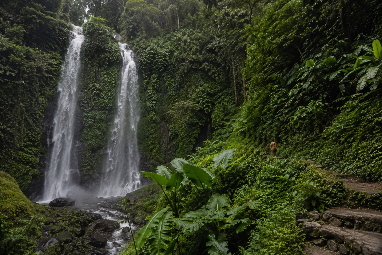 Chemin tropical vers une cascade de Senaru