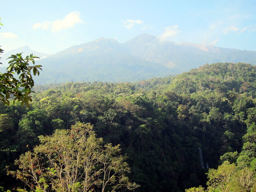 Paysage de forêt au pied du mont Rinjani dans le nord de Lombok